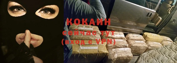 ПСИЛОЦИБИНОВЫЕ ГРИБЫ Снежногорск