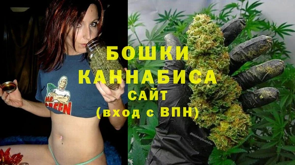 стафф Снежинск