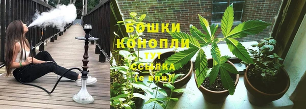 стафф Снежинск