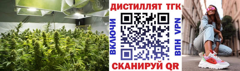 дарк нет наркотические препараты что такое кракен как зайти Тында Дистиллят ТГК вейп с тгк