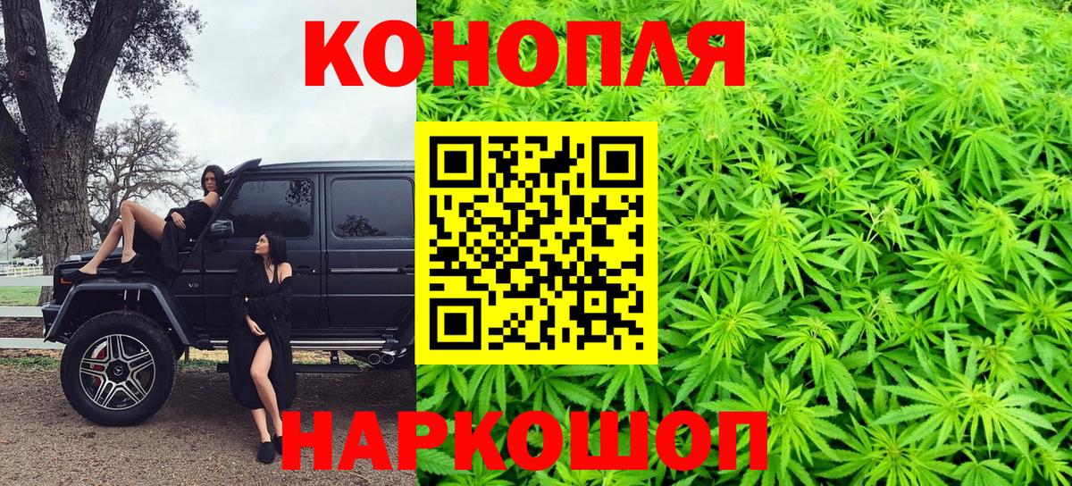 Бошки марихуана ГИДРОПОН Тында
